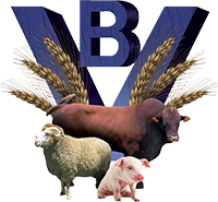 Benietha Veevoere