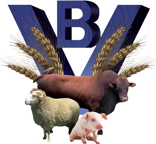 BENIETHA VEEVOERE